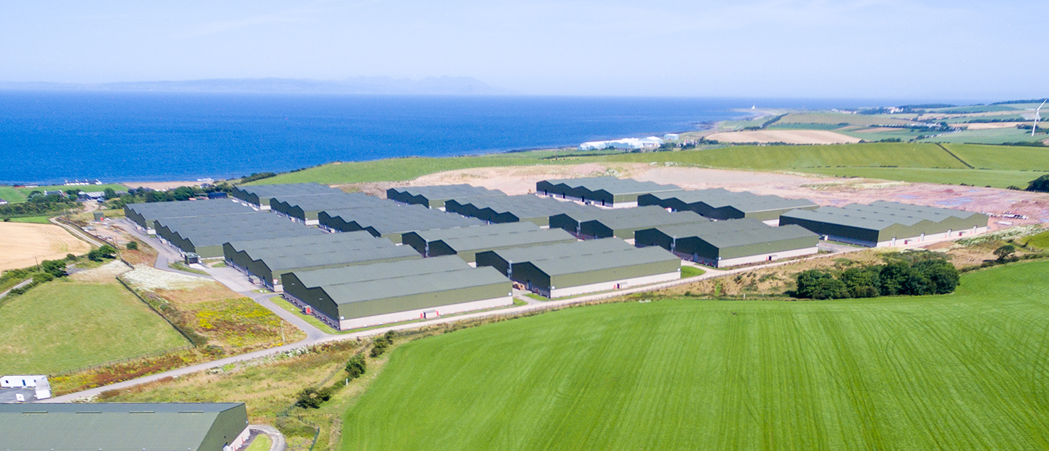 Featured Image for William Grant Warehousing, Girvan